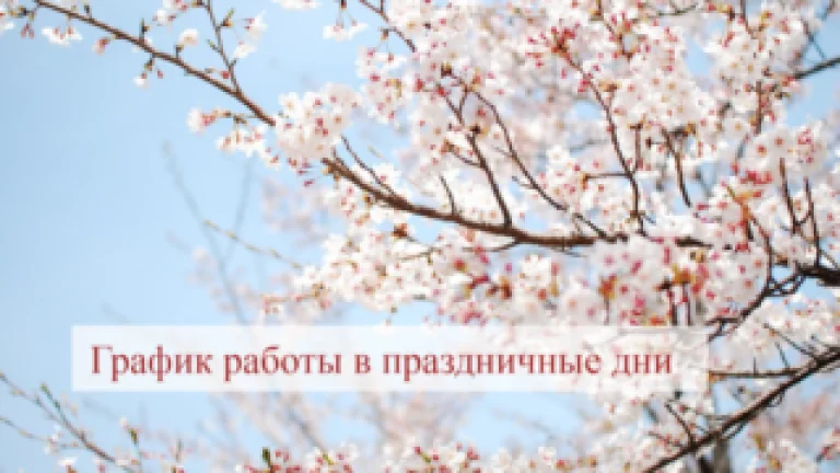 График работы в праздничные дни в 2022 году